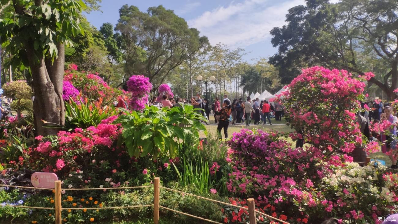 莲花山|莲花山公园游玩