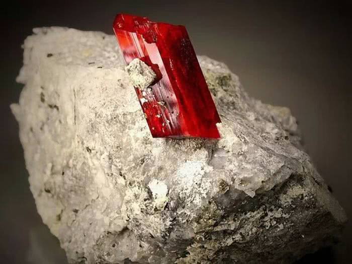 秦始皇|史上最早的女企业家,司马迁称她富可敌国,秦始皇对她礼让三分