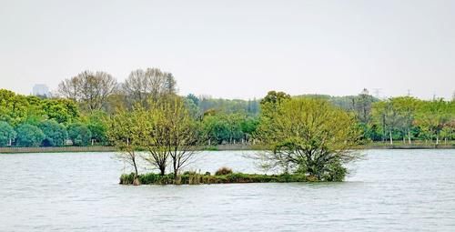 原创图集《东湖野趣》——你相信这里也是武汉的东湖风景区吗？