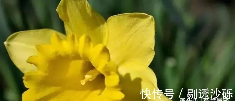 生肖|近段时间，缘分与桃花月老亲自派来，与真爱长相厮守的3大生肖！