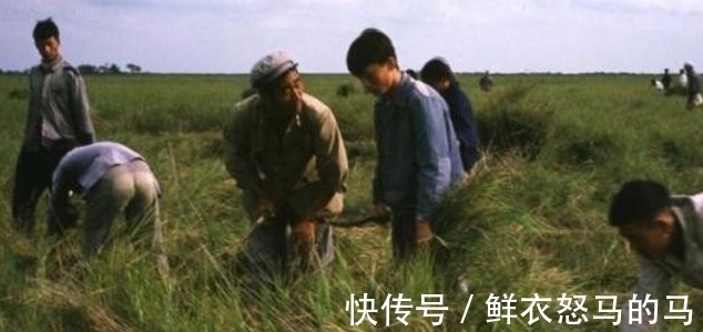 治病$20岁知青张志远为报恩,“嫁”31岁带4娃寡妇留大山,至今不悔