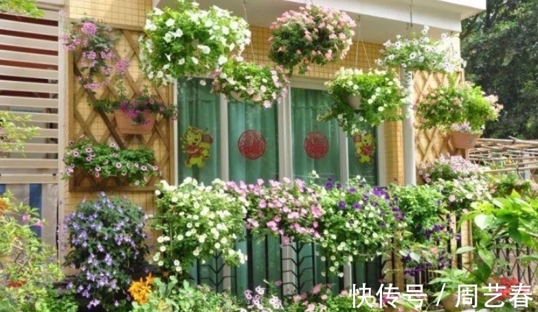 浇水|阳台养花,有2个“大道理”,做好其中之一,养花高手就是你