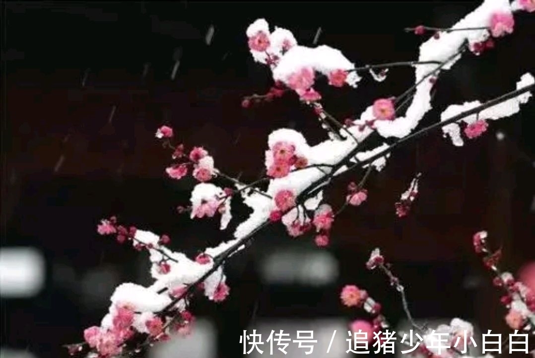 卖炭翁$漫天白雪，心忧炭价梅急眼（今韵）。邀对，并上期优秀对联欣赏