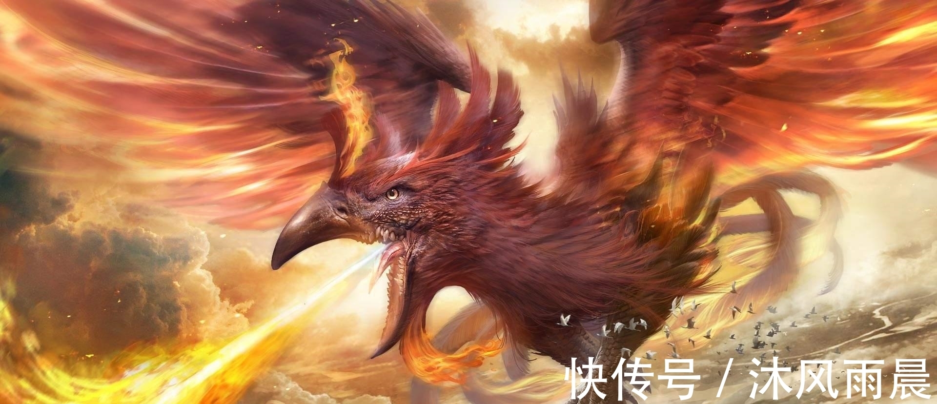 十大神鸟#上古神话中十大神鸟分别是哪些?我们熟悉的精卫便是其中之一