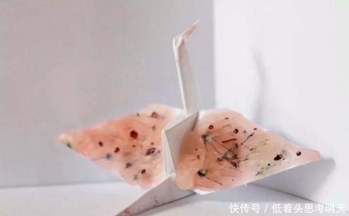  重样|每天折一只千纸鹤，他坚持了1000天不重样，女友被感动到梨花带雨