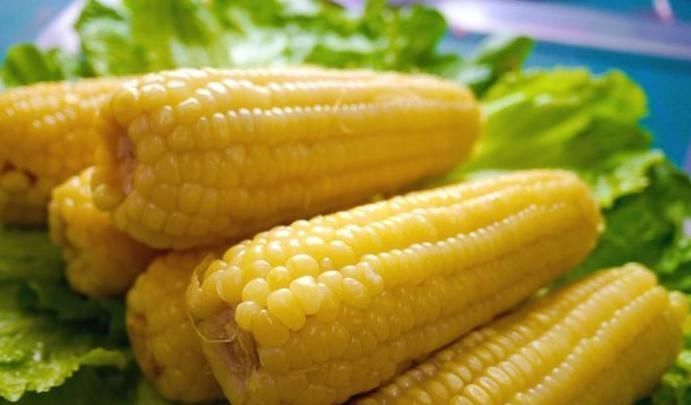 常吃玉米对身体好,但玉米不能与一物同吃,为健康及时忌口