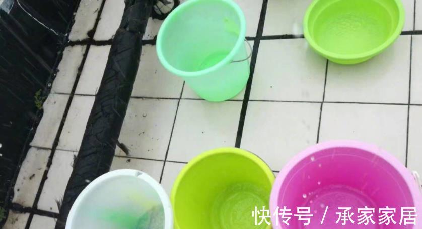 花友们|用什么水浇兰花合适?