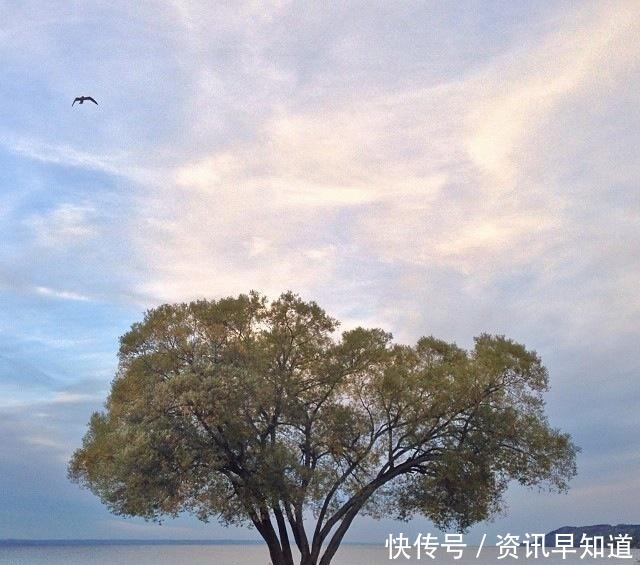 收藏|为人处世的智慧语录,句句受用,值得收藏一生!