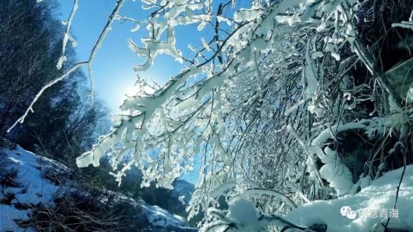 孟达天池|今日大雪！带您看青海冬日奇景！