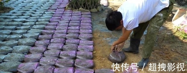 满铺|自己动手捯饬院子，塑料袋里灌水泥，铺满整个地面，比青石板结实