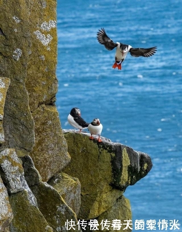 “世界上最孤独的地方”,我想去冰岛,不仅仅因为极光