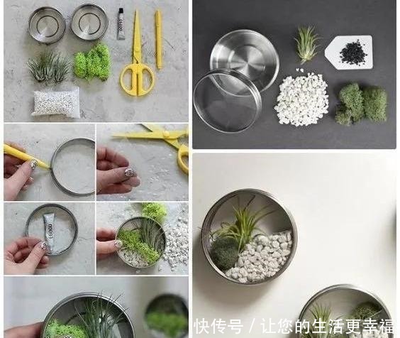 这些旧物都可以挂墙上养花,比挂画还好看呢,5种变废为宝创意!