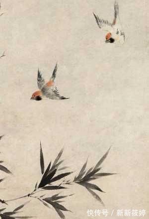 华嵒#故宫一幅怪画,画中猛虎如病猫,放大一看,却是它吓蔫了老虎