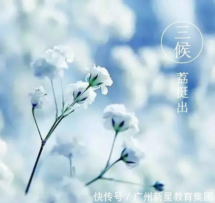 北方大雪纷飞,南方艳阳高照|新星百科 | 百科