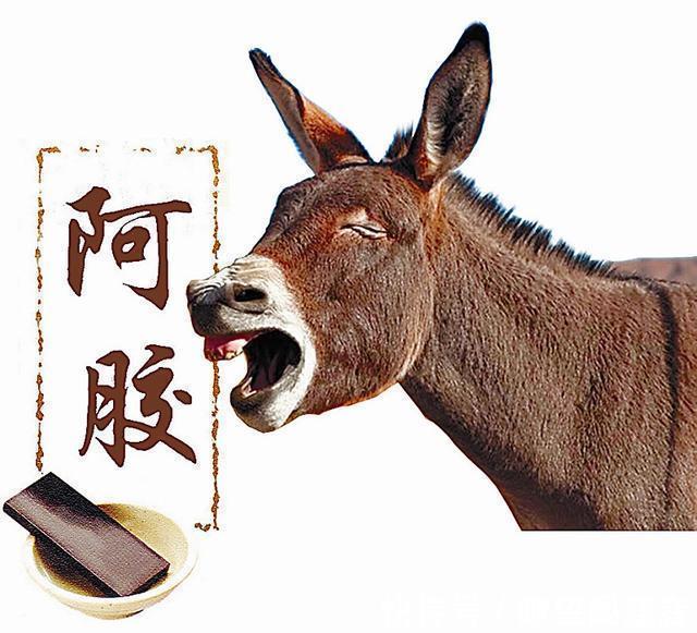 营养价值|又一“保健品”没落,营养价值还没鸡蛋高,一斤却售卖上千元