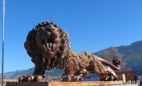 楠木|男子用30吨金丝楠木雕刻雄狮,富豪出价300万,男子:先给1000万