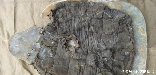 苏联飞行员失踪77年，如今终于找到！他这些年过的好么