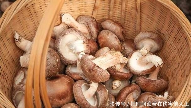 洗净香菇时,不要只用清水,厨师给你一水,让脏东西容易洗掉