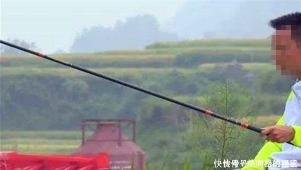 钓法|扎蛤蟆钓法的操作要点,黑坑不会这一招,鱼要被人抢光