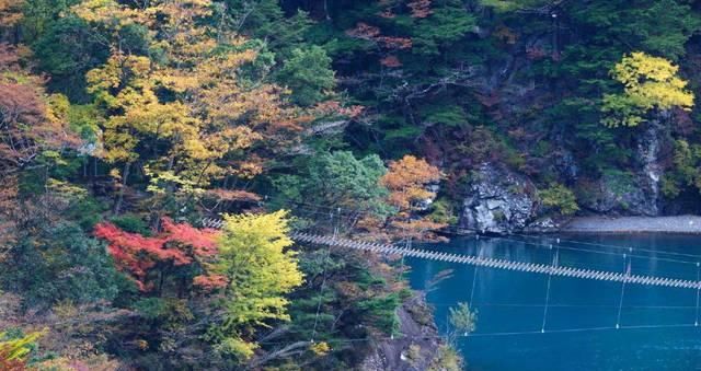 共存|寸又峡：日本无人问津的大山里，私藏着温暖与彩林共存的绝美景色