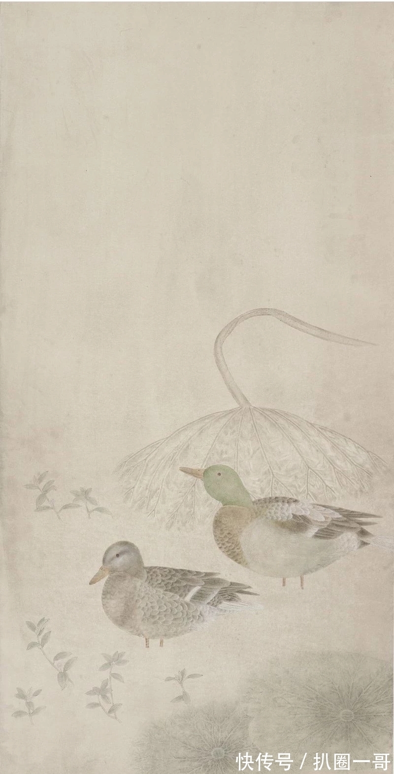 花鸟画&情境夺人｜江宏伟的“宋代”花鸟画