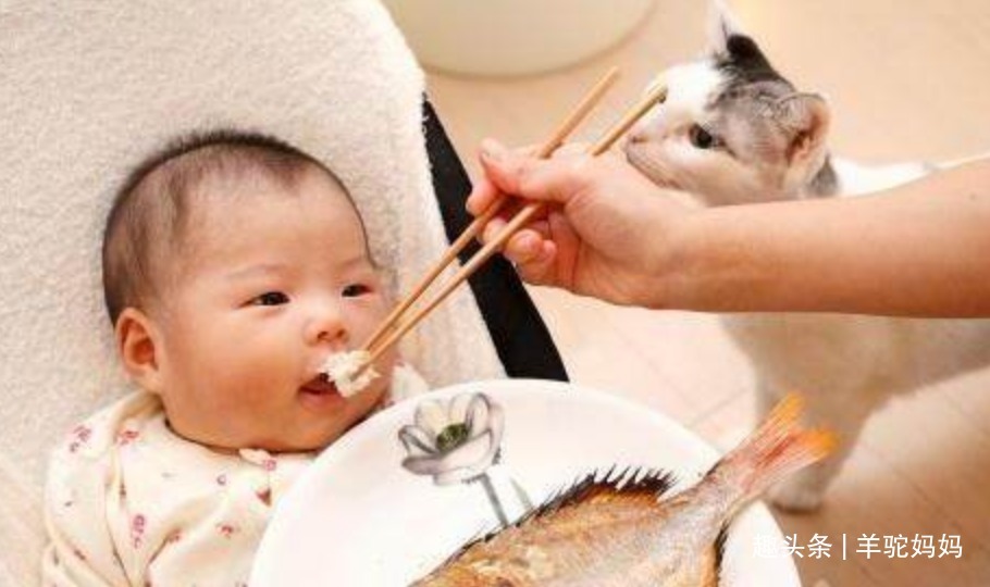 鳞片|仅需一勺“粉”死鱼变活鱼这些打药的鱼,无数父母还疯抢给娃吃