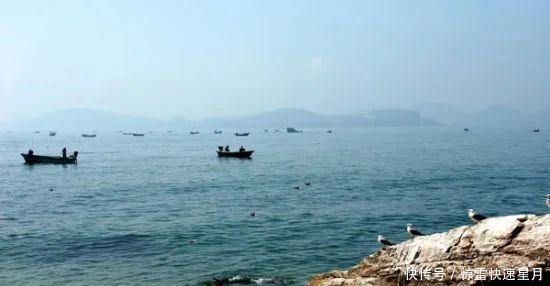 马步鱼营养价值极高,吃了它是怎样的体验