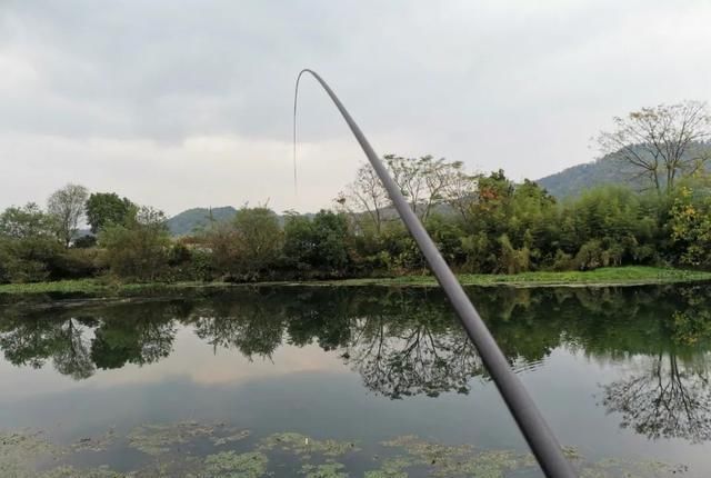 天冷钓鱼要多“逗”,鲫鱼经不起这诱惑,逗两下准咬钩