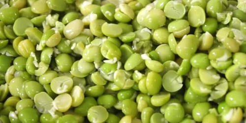 天热要多吃豌豆，教你一个新吃法，不炒菜不炖汤，2斤豌豆不够吃