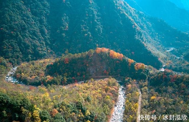 秘境|媲美光雾山！平武这条沟，藏着一个惊艳的彩林秘境！