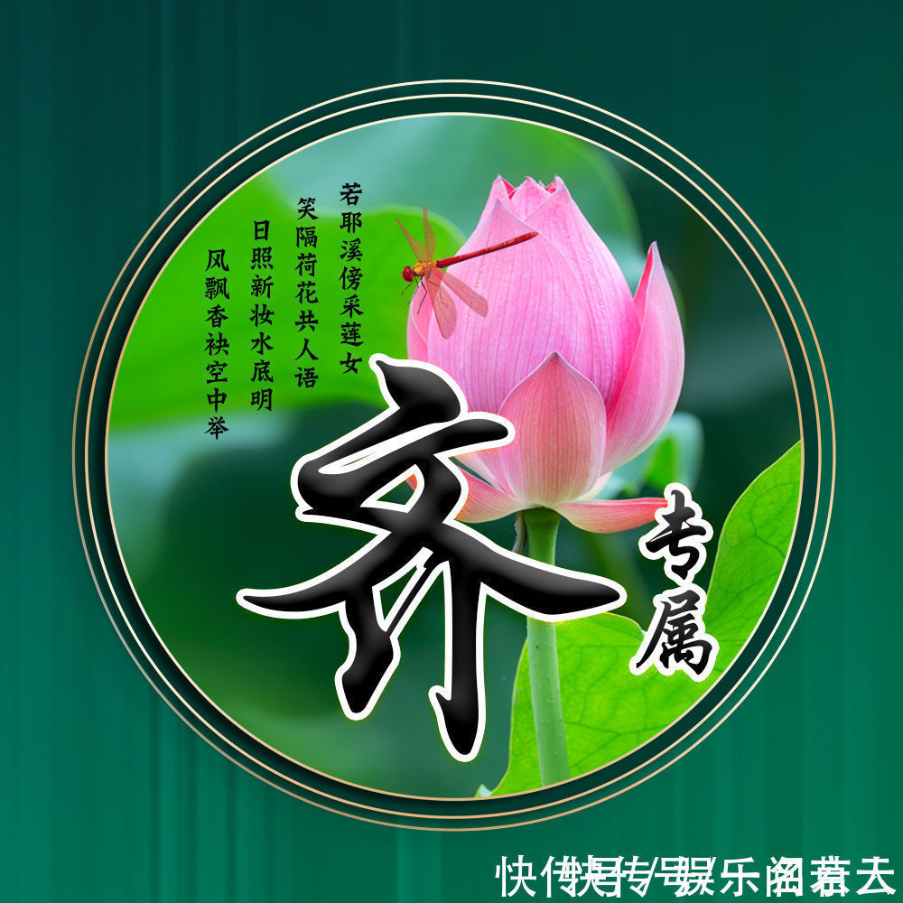 世人大!用你的姓氏当头像,20张唯美荷花大气图片,中国风华丽登场