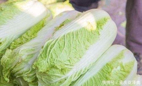 买白菜时，选白色的还是绿色的大厨教你这3点，就不会买错了
