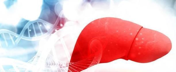 肝脏|为何有些人天天喝酒身体却很好呢原因有4点,为健康应该明白