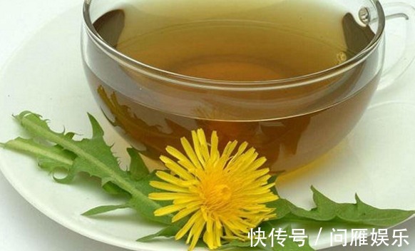 中医|自己晒干的蒲公英能喝吗老中医这样回答,或许跟你想的不一样