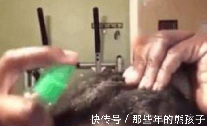 洗头|女子几年不洗头,结婚前女子开始打理头发,扒开后众人头皮发麻