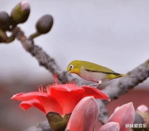 孩子小学阶段的数学能力想要提升，两个操作的重点必不可少