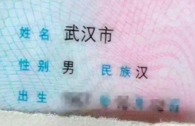 宝妈|“爷爷叫武昌,爸爸叫武汉”工作人员随口起孙子的名,令宝妈大喜