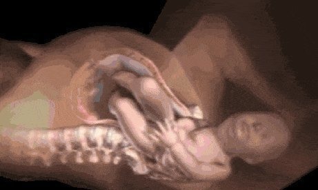 小宝宝|分娩痛得死去活来时宝宝在干嘛?暖哭!你真的不是一个人在战斗!