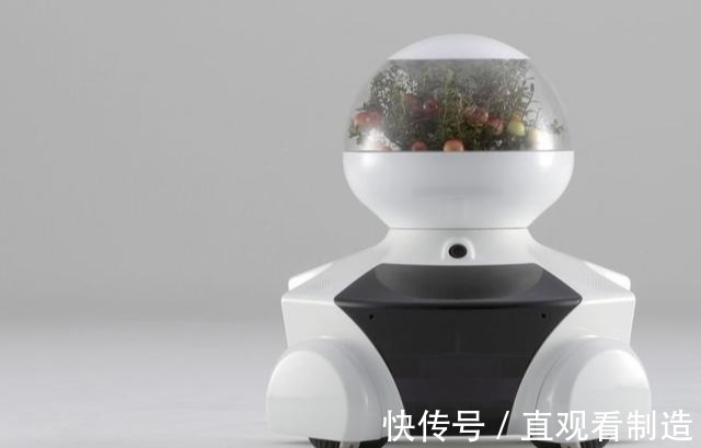 机器人|日本机器人编年表