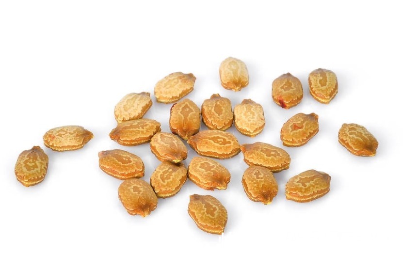 用法|15个名老中医千金难买的珍贵秘验方,一用就见效,值得永久收藏!