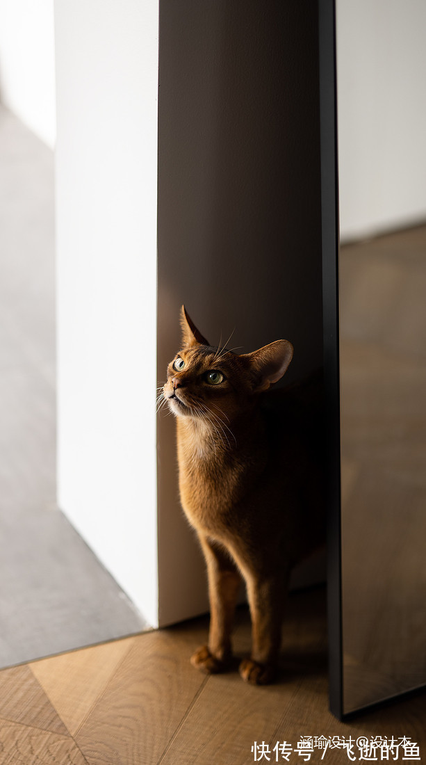 看81平米一居室是如何更有空间感