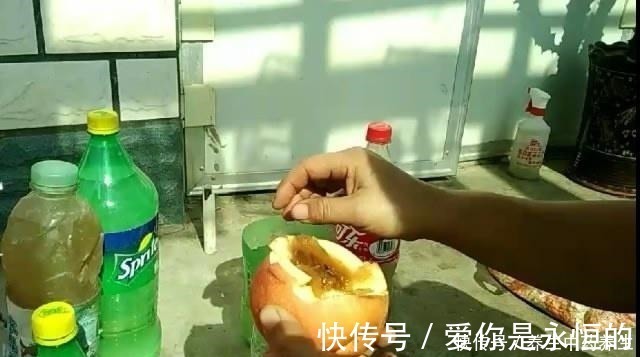 花儿|家里常扔的一种“皮”,水里泡一泡,浇花响当当,叶片肥壮花儿旺!