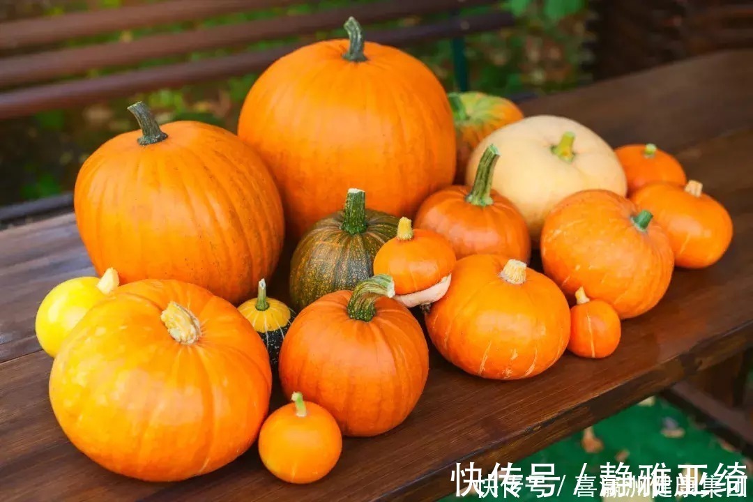 葵花子|大脑最爱的食物，核桃只排第4名，第1名谁都想不到！