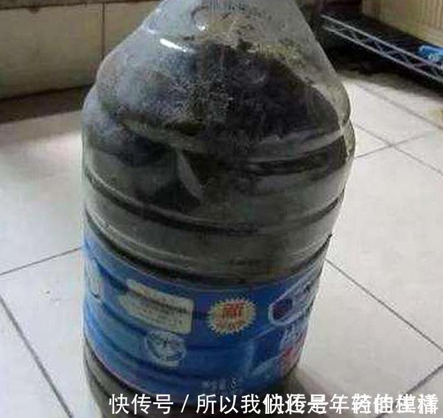 骨头|氮磷钾肥在家就能自制,方法简单肥效好,只要动动手肥料钱都省了