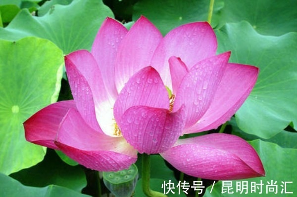 好命&俗话说:人在做天在看,多做4件“积德事”,必能一生好命多财!