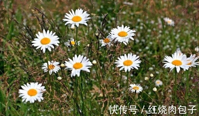 旧爱|思念不减,良缘天赐,真爱降临,不再犹豫,与旧爱重温从前