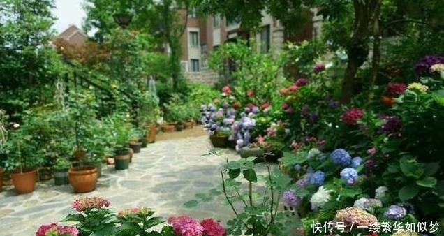 不算|喜欢养花,先“染上”2个坏习惯,否则就不算爱养花,看你有吗?