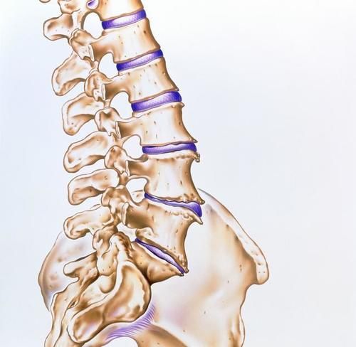 腹泻|男子腹痛腹泻，迅速休克病因未明，直至医生看到：患者胸口上红点
