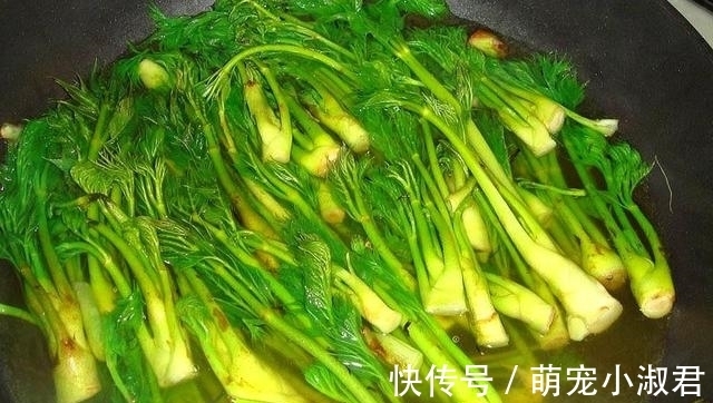 野菜|日本人眼中的高端菜,中国很多却少有人碰,营养很丰富