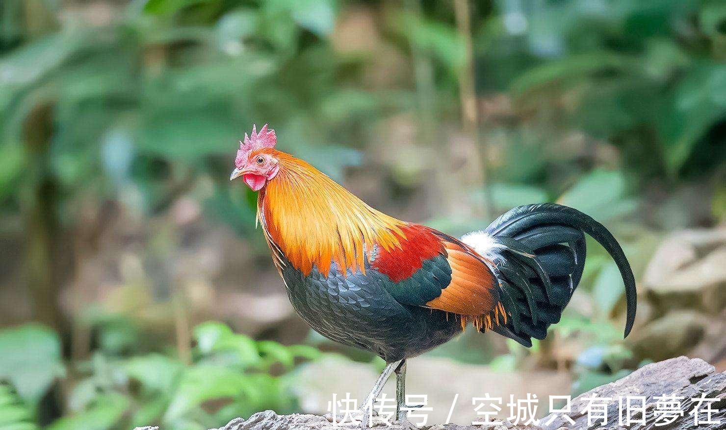 购车&十个冷知识:尽可能不要全款去购车!